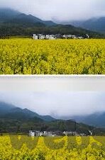 2021国产麻豆剧传媒app-2021年国产麻豆剧传媒app的生态与影响