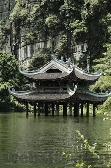 91av那个麻豆经济在哪里下载-91AV 麻豆经济探索，下载渠道与行业反思