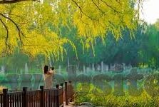 91麻豆短视频-看清现实，拥抱多元内容，91麻豆短视频的多元性与影响