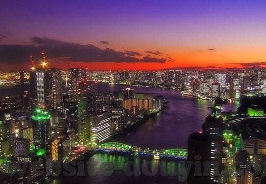91视频成人教育-91视频，成人教育的新视角与探索