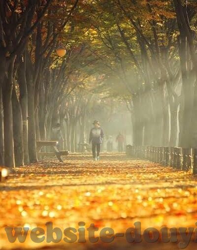 麻豆视频下载苹果-轻松体验，尽享轻松时刻——麻豆视频下载在苹果设备上的应用