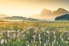 亚洲AV日韩AⅤ综合在-探索亚洲AV日韩AⅤ综合在的文化与艺术价值